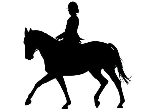 Horseback Rider Prancing Wall Decal