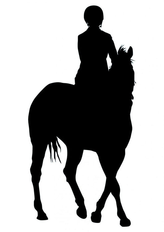 Horseback Rider Turning Wall Decal