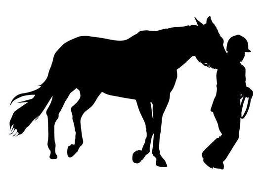 Horseback Rider Wall Decal