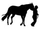 Horseback Rider Wall Decal