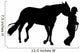 Horseback Rider Wall Decal