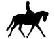 Horseback Rider Wall Decal