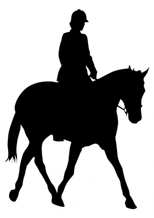 Horseback Rider Wall Decal