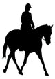 Horseback Rider Wall Decal