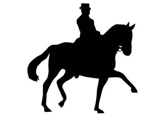 Horseback Riding Wall Decal