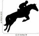 Horseback Jumping Wall Decal