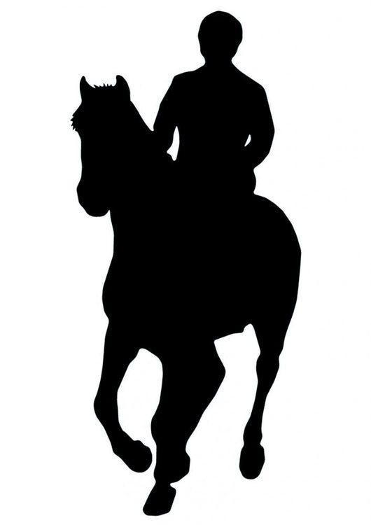 Horseback Rider Wall Decal