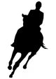 Horseback Riding Silhouette Wall Decal