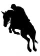 Jockeyed Horse Jumping Wall Decal