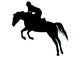 Jumping Horseback Rider Wall Decal