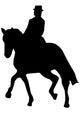 Prancing Pony Horse Wall Decal