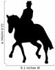 Prancing Pony Horse Wall Decal