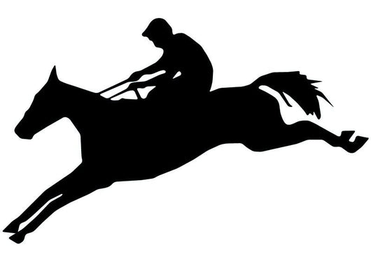 Graceful Jump Horseback Wall Decal