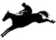Graceful Jump Horseback Wall Decal