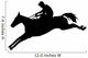 Graceful Jump Horseback Wall Decal