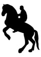 Rearing Horse Wall Decal