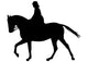 Walking Horse Wall Decal