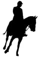 Horseback Riding Silhouette Wall Decal
