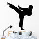 Karate Silhouette Wall Decal