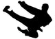 Karate Silhouette Wall Decal