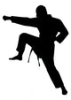 Karate Silhouette Wall Decal