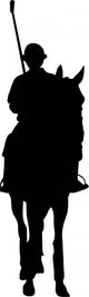 Polo Sport Silhouette Wall Decal