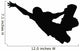 Skateboarding Silhouette Wall Decal
