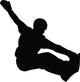 Snowboarding Silhouette Wall Decal