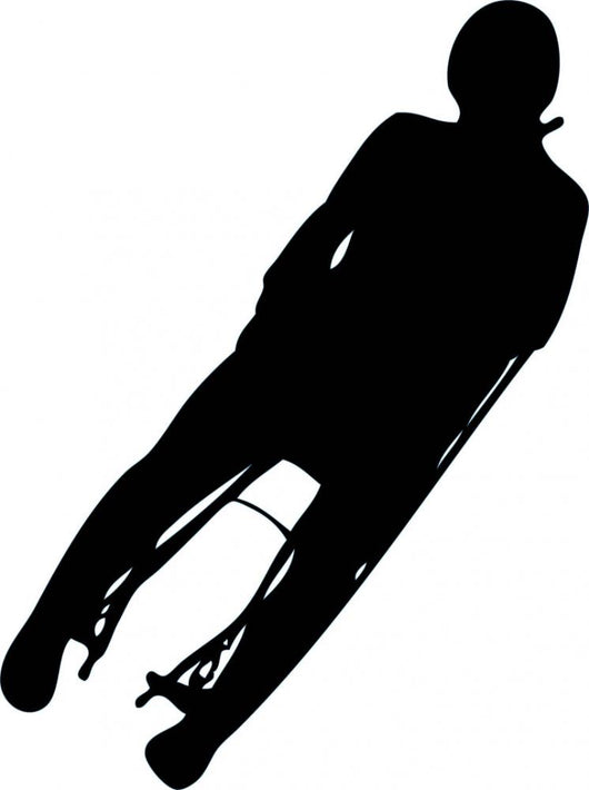 Silhouette Skier Wall Decal