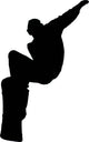 Jump Snowboarder Silhouette Wall Decal