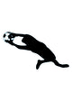 Soccer Silhouette Wall Decal