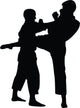 Tae Kwon Do Silhouette Wall Decal