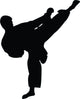Tae Kwon Do Silhouette Wall Decal