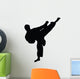 Tae Kwon Do Silhouette Wall Decal