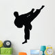Tae Kwon Do Silhouette Wall Decal