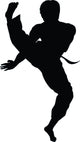 Tae Kwon Do Silhouette Wall Decal