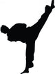 Tae Kwon Do Silhouette Wall Decal