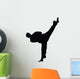 Tae Kwon Do Silhouette Wall Decal