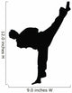 Tae Kwon Do Silhouette Wall Decal