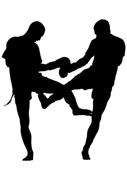 Thai Boxing Silhouette Wall Decal
