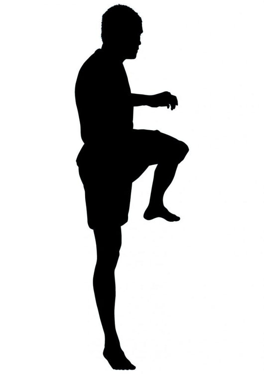 Thai Boxing Silhouette Wall Decal