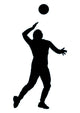 Volley Ball Silhouette Wall Decal