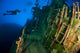 Diver Explores Wreck Soltai Wall Decal