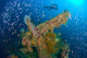 Diver Explores Wreck Japanese Wall Decal Design 2