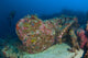 Diver Explores Wreck Us Wall Decal Design 2