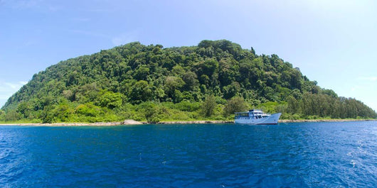 Mv Spirit Solomons Moored Wall Decal