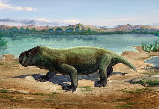 Dicynodon Trautscholdi Prehistoric Animal Wall Decal