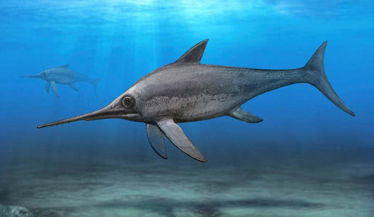Eurhinosaurus Longirostris Swimming Prehistoric Wall Decal