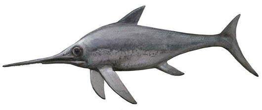 Illustration Eurhinosaurus from Prehistoric Wall Decal