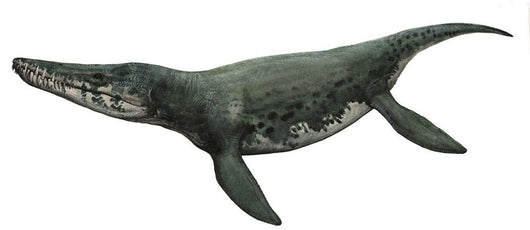 Illustration Kronosaurus from Prehistoric Wall Decal